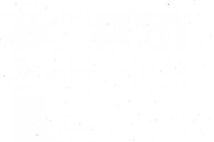 white.jpg